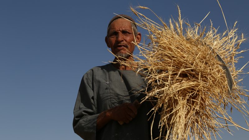 ډبلیواېف‌پي: یوازې پنځه میلیونه افغانانو ته مرستې رسولی شو